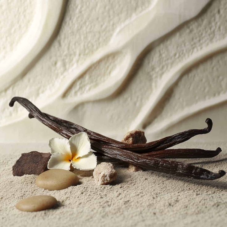 Private Label Solutions